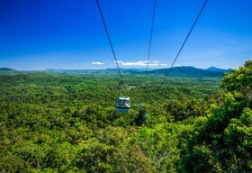 リピーターにお勧め!!スカイレールで世界遺産キュランダ・熱帯雨林体験とマリーバのコーヒー園Skyburyスカイバリー訪問!