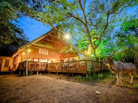 ニードルズサファリロッジ宿泊！クルーガー国立公園でビッグファイブサファリ宿泊3泊4日【クルーガームプマランガ空港発着/ 空港送迎＋宿（4スター）＋アクティビティ】