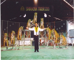 【連絡があるまで販売中止】シーラチャ・タイガーズー (バンコク発)