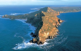 ケープ半島の見所を周る午前半日ツアー