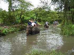 水上マーケット と本格派象乗り体験ツアー