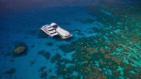 グレートバリアリーフ直行ツアー 世界一の珊瑚礁とトロピカルフィッシュを満喫！