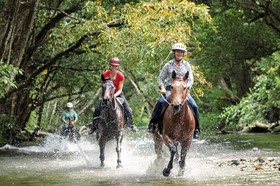 熱帯雨林のケアンズで半日乗馬 [現地集合 ※レンタカーまたはタクシー必要]