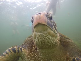 ガラパゴス諸島5泊6日【バルトラ空港発/ホテル5泊/英語ガイド】