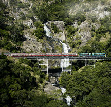 キュランダ高原列車チケット片道／往復 (ケアンズセントラル駅発／ゴールドクラス選択可)