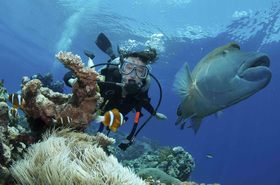 PADI 4日間オープンウォーター・コース【船上1泊コース/ 英語】
