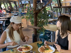 コアラと朝食！ ハートリース動物園 ケアンズ送迎付き【選べる写真付き＆プラン / 半日ツアー】