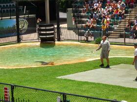 世界的に有名なオーストラリア動物園【ゴールドコースト発】