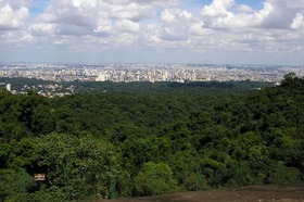 大都会サンパウロのオアシス！カンタレイラ州立公園エコツアー【英語ガイド】