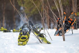 スノーシュー＆犬ぞり、アイスフィッシング体験【昼食付 / 11～4月】