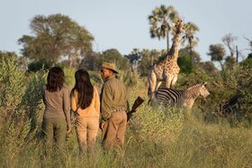 野生動物の楽園 世界遺産オカバンコ・デルタ 5日間【ケープタウン発着 / サファリ宿泊3泊+マウン市内ホテル1泊 / 全食事 / アクティビティー 】