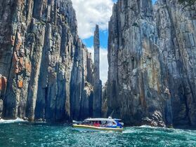 自然の宝庫、ブルーニー島に出かけよう！【ホバート発】