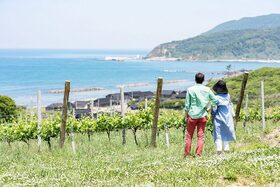 海辺の丘の上の絶景「ハイディワイナリー」醸造所見学【石川県輪島市】