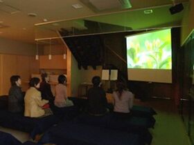 丸久小山園工場見学！（槇島工場）【京都府宇治市】