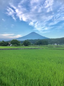 富士山湧水仕込みの酒「富士錦酒造」酒蔵見学！【静岡県富士宮市】