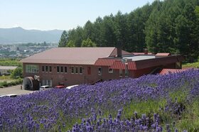 ラベンダーが咲くレンガ造りのワイナリー「ふらのワイン」見学！【北海道富良野市】