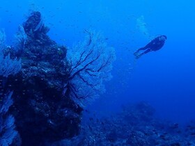 八丈ブルーの海を120％体感！初心者でも安心の体験ダイビング【東京都八丈島】