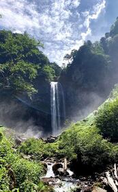 樹齢1000年の巨木と大滝を訪問！高山市周辺ハイキング【岐阜県高山市】