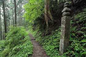 世界遺産 高野山巡礼の道「町石道（ちょういしみち）」を歩く！【和歌山県高野山市】