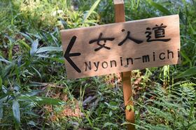 世界遺産 高野山巡礼の道「女人道（にょにんみち）」を歩く！【和歌山県高野山市】