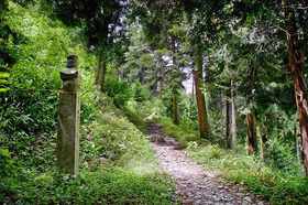 世界遺産 高野山信仰の道「町石道（ちょういしみち）」ハーフコース【和歌山県高野山市】