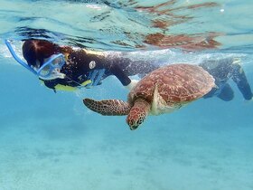 奄美大島でウミガメと泳ぐ！シュノーケリング【奄美大島笠利町】