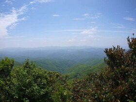 大自然の中でトレッキング！湯湾岳コース【奄美大島名瀬】