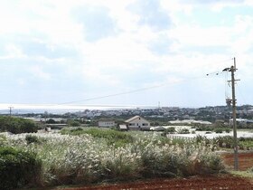 のどかな風景をのんびり楽しむ！「ペンションさんご」宿泊予約【沖永良部島】