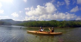 水牛車も楽しめる！マングローブカヌーと由布島1日観光【西表島】