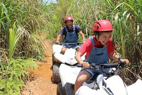 パイナップルの村「東村」でバギーアドベンチャーツアー【沖縄県東村】