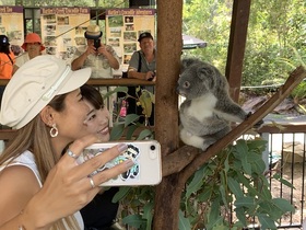 ハートリース動物園 【入場券＋ケアンズ送迎 / 半日】