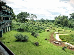 アバーディア国立公園＆ナクル湖国立公園2泊3日サファリ【英語ドライバーガイド】 ※日本語ドライバーガイドに変更可能