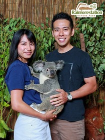 コアラ抱っこ写真