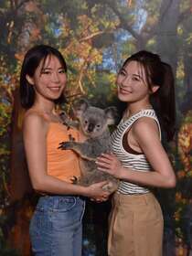 コアラ抱っこ写真