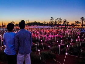 【2日目に追加】エアーズロック・サンライズ&フィールド・オブ・ライト(英語)