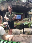 ケアンズワイルドライフドームケアンズ