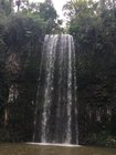 雨季だからこそ