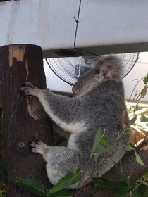 何度の入園できます！