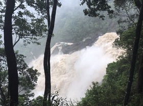 雨季ならではの見応えが