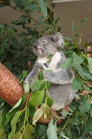 屋内の動物園もありかも