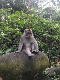 効率的にインドシア観光と舞踊