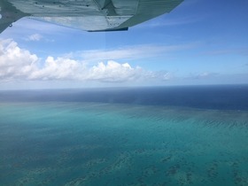 空からのグレートバリアリーフ！