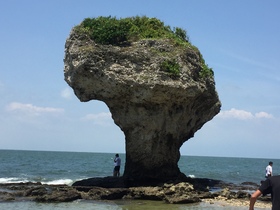 サンゴ礁でできた島