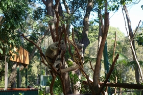 動物たちとも触れ合える大きな動物園