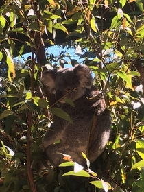 動物たちとも触れ合える大きな動物園