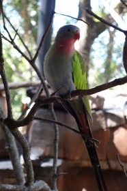 鳥類の豊富さに感激