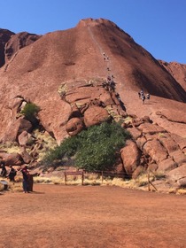 Ayers Rock 日帰りツアー