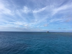 素敵でした！