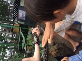家族におすすめ、何度も入場できる動物園