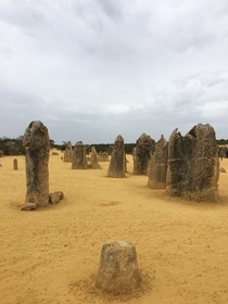 楽しいガイドさんと巡るピナクルズ